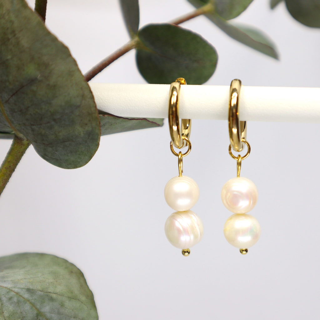 Helvi-rengaskorvakorut kullattua ruostumatonta terästä aidoilla makeanveden helmillä